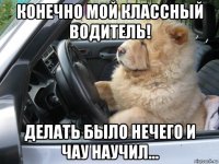 конечно мой классный водитель! делать было нечего и чау научил...