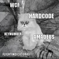 WCF Amadeus HardCode FlightIndicator43 KeyNumber7     