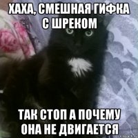 хаха, смешная гифка с шреком так стоп а почему она не двигается