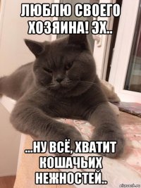 люблю своего хозяина! эх.. ...ну всё, хватит кошачьих нежностей..