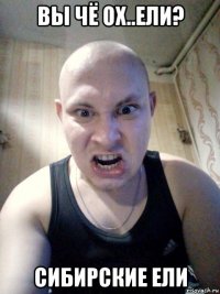 вы чё ох..ели? сибирские ели