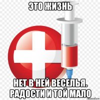 это жизнь нет в ней веселья. радости и той мало