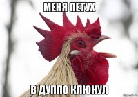 меня петух в дупло клюнул