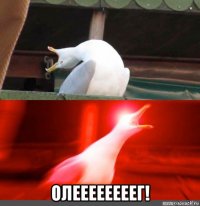  олеееееееег!