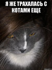 я же трахалась с котами еще 