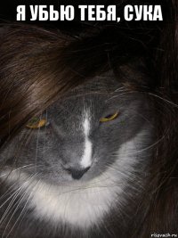 я убью тебя, сука 