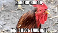 кококо-коооо, мы здесь главные