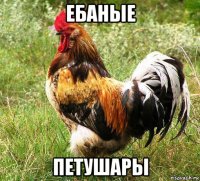 ебаные петушары