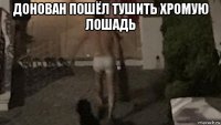 донован пошёл тушить хромую лошадь 
