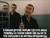  в любой другой тюрьме где есть иные режимы за такую хуйню уже бы не то что зарезали а на органы продали бы