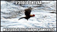 у этого питуха мозговые полушария замкнуло