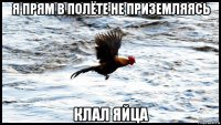 я прям в полёте не приземляясь клал яйца