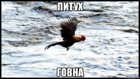 питух говна