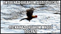 питух над океаном долго чесал путих над океаном много посрал