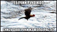 ебучий рукожоп снизу двве руки из жопы растут
