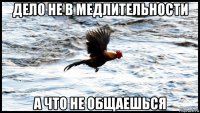 дело не в медлительности а что не общаешься