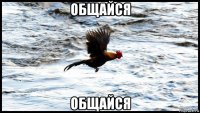 общайся общайся