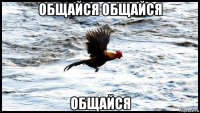 общайся общайся общайся