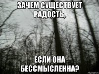 зачем существует радость, если она бессмысленна?