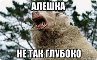 алешка не так глубоко