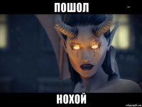 пошол нохой