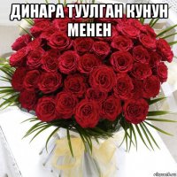 динара туулган кунун менен 