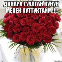 динара туулган кунун менен куттуктайм!!! 