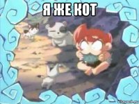 я же кот 