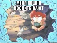 меня кошки воспитывают 