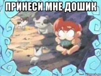 принеси мне дошик 