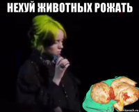 нехуй животных рожать 