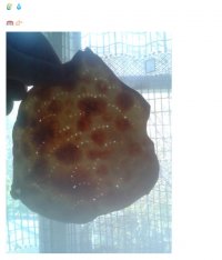 Создать мем 