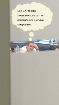 Создать мем 100