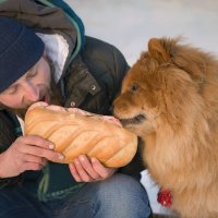 Создать мем Бутербродом поделись