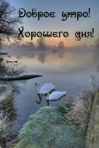 Создать мем Доброе утро
