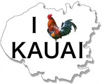 Создать мем Петух одичавший Кауаи - Feral Rooster Kauai