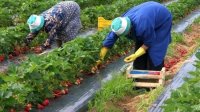 Создать мем Рмглмргл