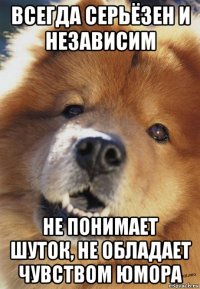 всегда серьёзен и независим не понимает шуток, не обладает чувством юмора