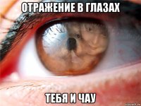 отражение в глазах тебя и чау