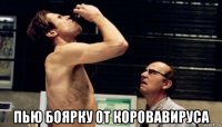  пью боярку от коровавируса