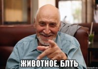  животное, блть