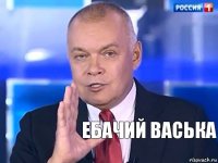 ебачий васька