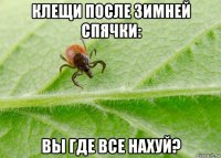 клещи после зимней спячки: вы где все нахуй?