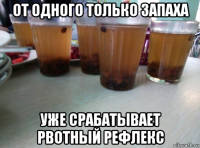 от одного только запаха уже срабатывает рвотный рефлекс