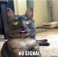  no signal