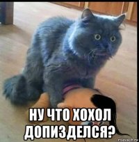  ну что хохол допизделся?