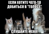 если хотите чего-то добиться в "голосе" слушайте меня!