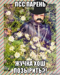 псс парень жучка хош позырить?!