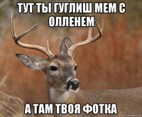 тут ты гуглиш мем с олленем а там твоя фотка