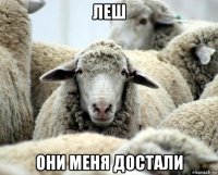 леш они меня достали